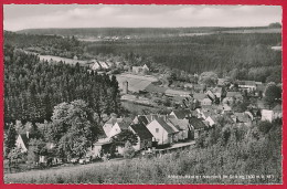 3 Foto-AK ´Polle + Neuhaus Im Solling' (LK Holzminden) ~ 1954 - Holzminden