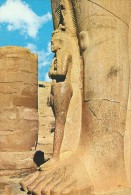 CARTE POSTALE - POSTCARD - POSTKARTE-CARTOLINA POSTAL - EGYPTE -KARNAK- EPOUSE DU ROI PANEDJEM- WIFE OF PHARAOH PANEDJEM - Luxor