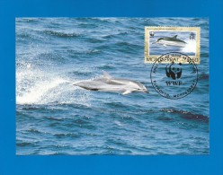 Montserrat 1990  Mi.Nr. 788 , Dolphin - WWF - Maximum Card - First Day  25. Sep.1990 - Montserrat