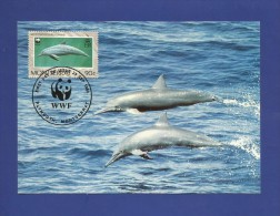Montserrat 1990  Mi.Nr. 786 , Dolphin - WWF - Maximum Card - First Day  25. Sep.1990 - Montserrat