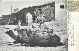 Tanger (Tangier) - Dromadaires Au Repos (Camels At Soco) - Edition V.B. Cumbo, Gibraltar - Carte Dos Simple - Tanger