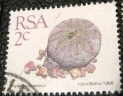 South Africa 1988 Succulent Euphorbia Symmetrica 2c - Used - Used Stamps