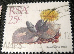 South Africa 1988 Succulent Cheiridopsis Peculiaris 25c - Used - Used Stamps