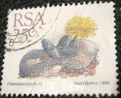 South Africa 1988 Succulent Cheiridopsis Peculiaris 25c - Used - Used Stamps
