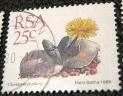 South Africa 1988 Succulent Cheiridopsis Peculiaris 25c - Used - Used Stamps