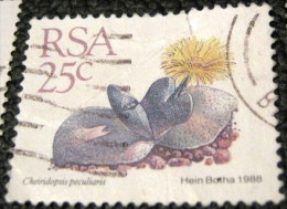 South Africa 1988 Succulent Cheiridopsis Peculiaris 25c - Used - Used Stamps