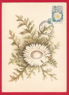 FL 01 - Maximum Card - Flowers, Carline Thistle - Cartes Maximum