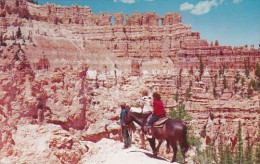 Horseback Riders At Wall Of Windows Bryce Canton National Park Utah - USA National Parks