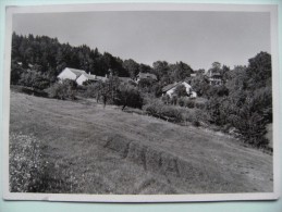 CPSM Châtel - Essertines S.Rolle Les Charmilles Et Alentour - Vue D'ensemble   A Voir ! - Essertines-sur-Rolle