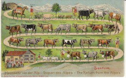 Return From The Alps, Sentum Switzerland Artist Image Cows In A Row, C1900s Vintage Embossed Postcard - Sent