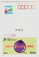 Vegetable Spherical Eggplant,Japan 1996 The 30th Anni. Of Settsu City Advert Pre-stamped Card,Mihon Overprint Specimen - Légumes