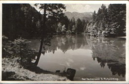 Deutschland -  Postcard Used 1950 -Ruhpolding - Der Taubensee - 2/scans - Ruhpolding