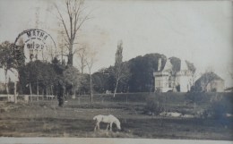 17 MATHA CARTE PHOTO CHATEAU ET CHEVAL - Matha