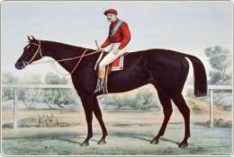 Horse Race S-t-a-m-p-ed Card 1277-1 - Hippisme