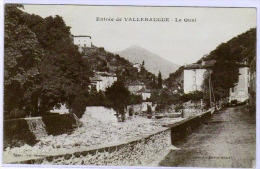 VALLERAUGUE: Vue éclairée Sur L'entrée De La Citée. CP écrite, Récolte Des Vers à Soie. - Valleraugue