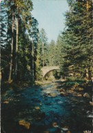 GERARDMER (Vosges) - Le Pont Des Fées - Gerardmer