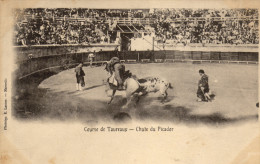 Course De Taureaux.Corrida. Serie Photo - Corrida