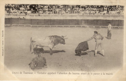 Course De Taureaux.Corrida. Serie Photo - Corrida