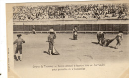 Course De Taureaux.Corrida. Serie Photo - Corrida