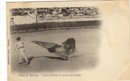 Course De Taureaux.Corrida. Serie Photo - Corrida