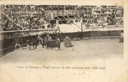 Course De Taureaux.Corrida. Serie Photo - Corrida