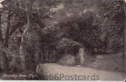 Elgin, Brumley Brae - Moray