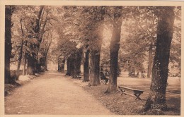 Cp , 78 , LOUVECIENNES , Château De Voisins , Allée Des Tilleuls Et Tennis - Louveciennes