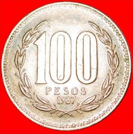 * STAR: CHILE ★100 PESOS 1987So! LOW START ★ NO RESERVE! - Chile
