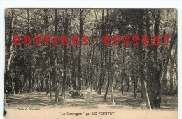 84 - LE PONTET - VISUEL RARE < PARC De L'AUBERGNE " LA CASSAGNE " - DOS SCANNE - Le Pontet