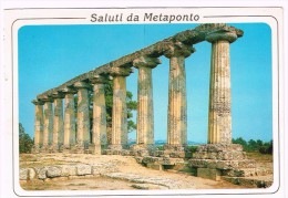 H3307 Metaponto (Matera) - Tavole Palatine - Timbro Mostra Duccio Siena / Viaggiata 2003 - Other & Unclassified