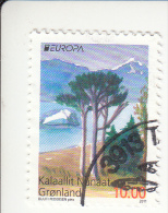 Groenland  Michel-kataloog 581 Gestempeld Tanding 12 3/4x13 1/4 - Used Stamps