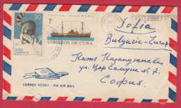 181435 / 1965 - 31 C. - ZOO GARDEN HABANA Mapache Procyon , FLOTA MAMBISA SHIP , Cuba Kuba - Covers & Documents