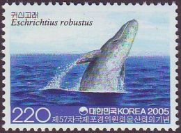 Sourth Korea 2005 57th Annual Meeting Waling Commission Ulsan Marine Mammals Sealife Sea Whale Animals Stamp MNH SC 2175 - Baleines