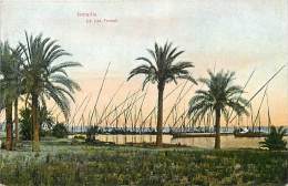 Réf : D-15-4868 :  ISMAILIA - Ismailia