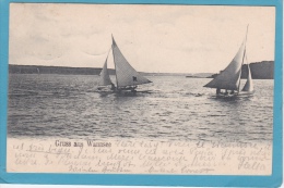 GRUSS  AUS   WANNSEE    (  Avec  Voiliers ) - Wannsee