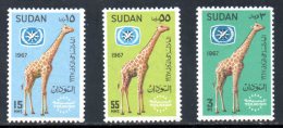 SOUDAN. N°195-7 De 1967. Girafe/Tourisme. - Giraffes