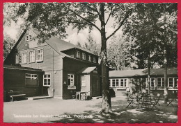 Foto-AK ´Tautewalde Bei Neukirch' (Lausitz / LK Bautzen) ~ 1964 - Neukirch (Lausitz)