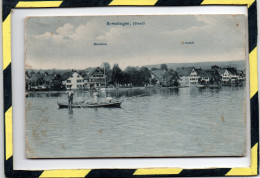 ERMATINGEN, ( STAAD ) HIRSCHEN SCHIFF. CARTE ANIMEE - Ermatingen