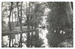 NOGENT-LE-ROI (Eure-et-Loir) - Bords De L'Eure - CPSM N&B Non écrite Dos Propre - Scan Recto-verso - Nogent Le Roi