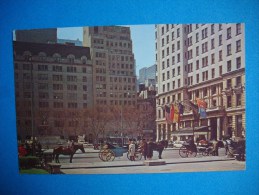 Cpsm  NEW YORK CITY  -  Hansom  Cab  - Central Park - Central Park