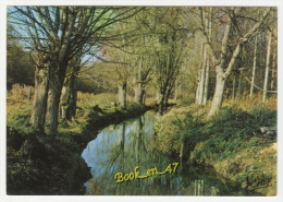 {57831} 28 Eure Et Loir Auneau , Les Bords De L' Aunay - Auneau