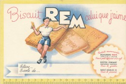 Buvard (format 135 X 210mm)  - B1746 - Biscuit REM - (non  Utilisé)-Envoi Gratuit Pour La France - B