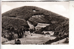 5948 SCHMALLENBERG - GRAFSCHAFT, Wilzenberg - Schmallenberg