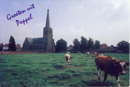 Groeten Uit Poppel (kerk En Omgeving) - Ravels