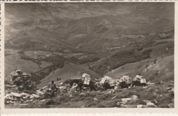 Vera De Bidasoa - Porteador Acemilero - Scan Recto-verso - Navarra (Pamplona)