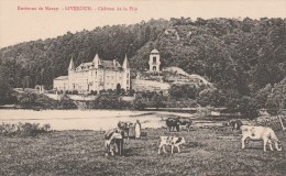 LIVERDUN  (Meurthe Et Moselle) - Lot De 2 CPA - Liverdun