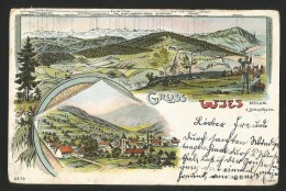 WJES WIES Schopfheim Lörrach Urner-Berner-Walliseralpen 1901 - Schopfheim