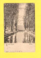 Postcard - Austria, Wien, Prater    (20276) - Prater