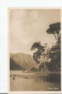 PUERTO BLEST (ARGENTINE CARTE PHOTO) - Argentine