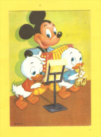 Postcard - Disney     (V 25851) - Disneyworld